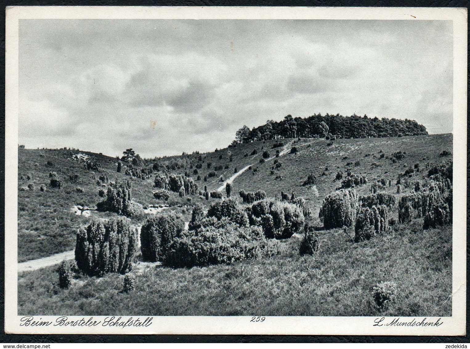 C4918 - Beim Borsteler Schafstall - L. Mundschenk - Soltau