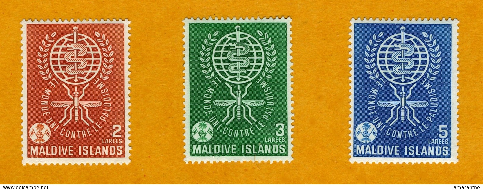 Eradication Du Paludisme 1962 - Maldiven (...-1965)