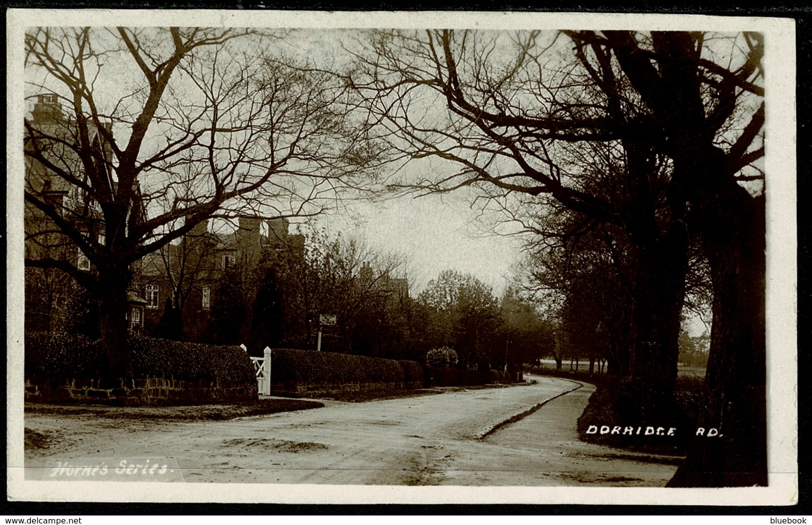 Ref 1288 - Early Real Photo Postcard - Dorridge Road - Dorridge Village Solihull - Warwickshire - Other & Unclassified