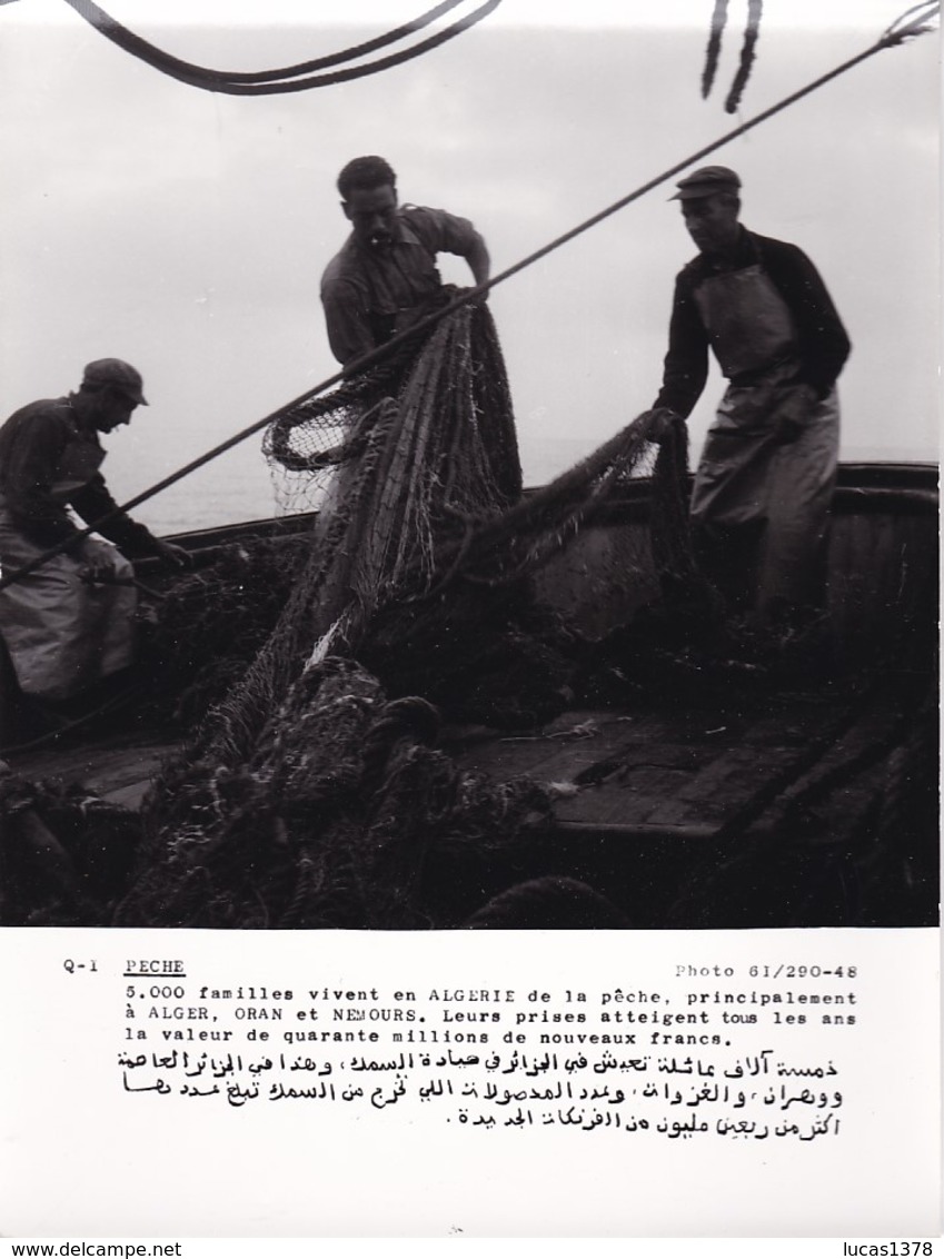 ALGERIE / PROPAGANDE 1959.1961 / MAGNIFIQUE PHOTO 18X24 / PECHEURS - Métiers