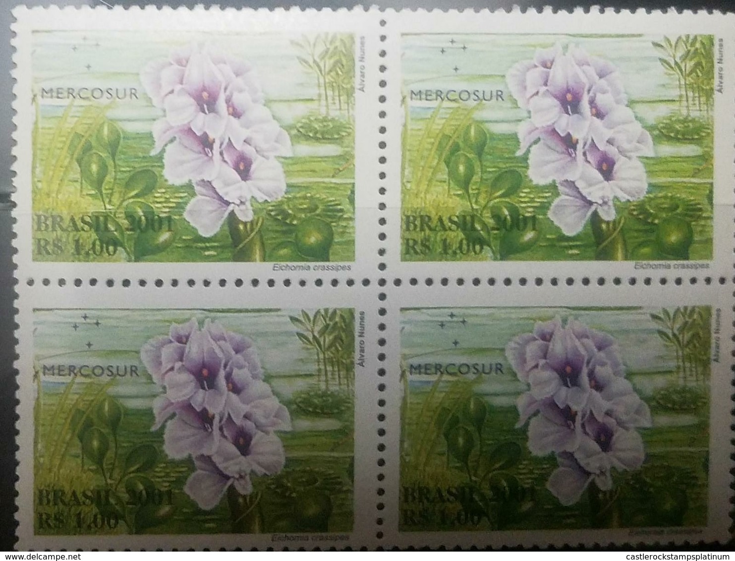 O) 2001 BRAZIL. MERCOSUR-PANTANAL FLORA -EICHORNIA, MNH - Nuovi