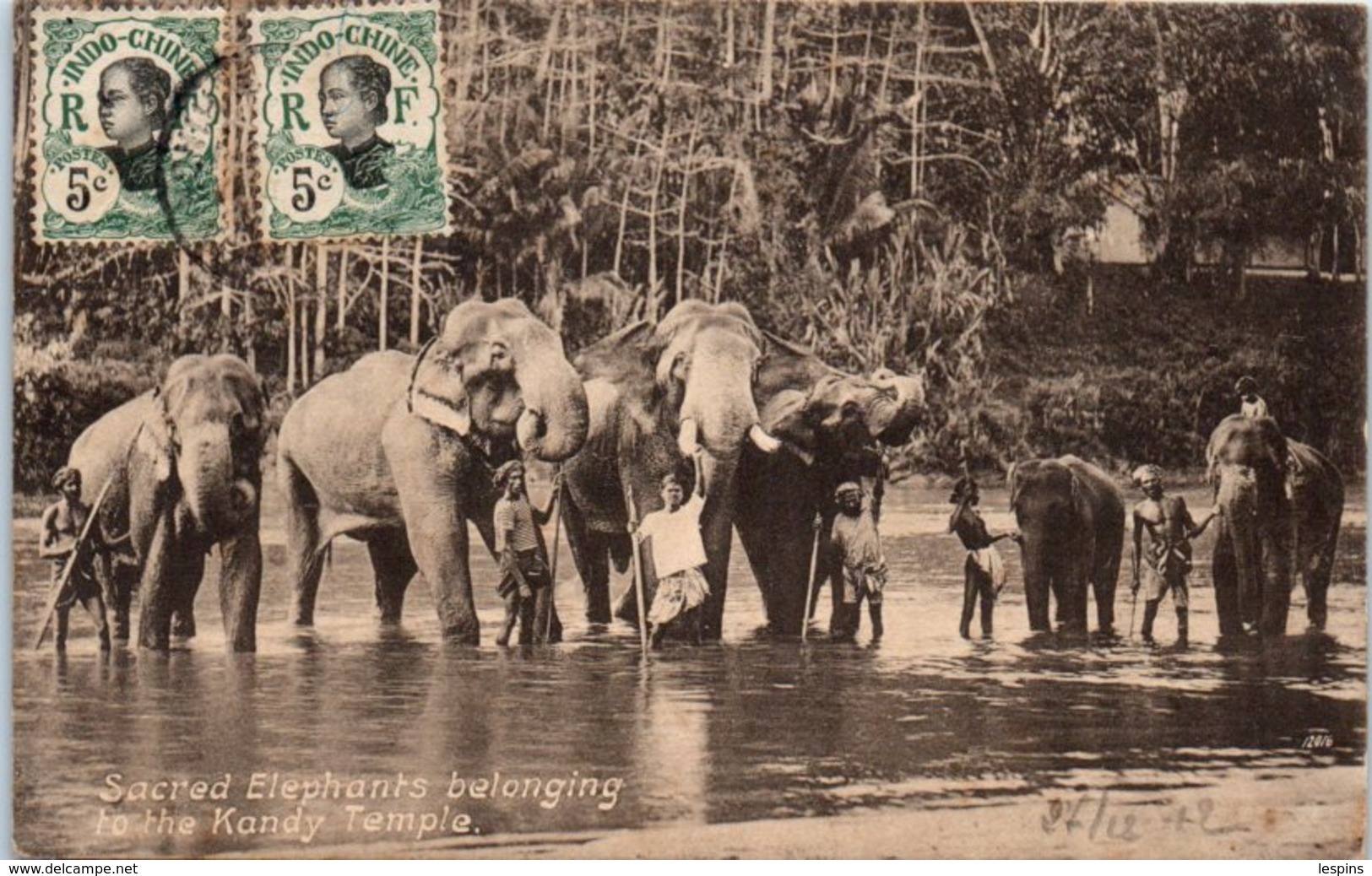 ASIE - SRI LANKA ( CEYLON ) -- Sacred Eléphants Belonging - Sri Lanka (Ceylon)