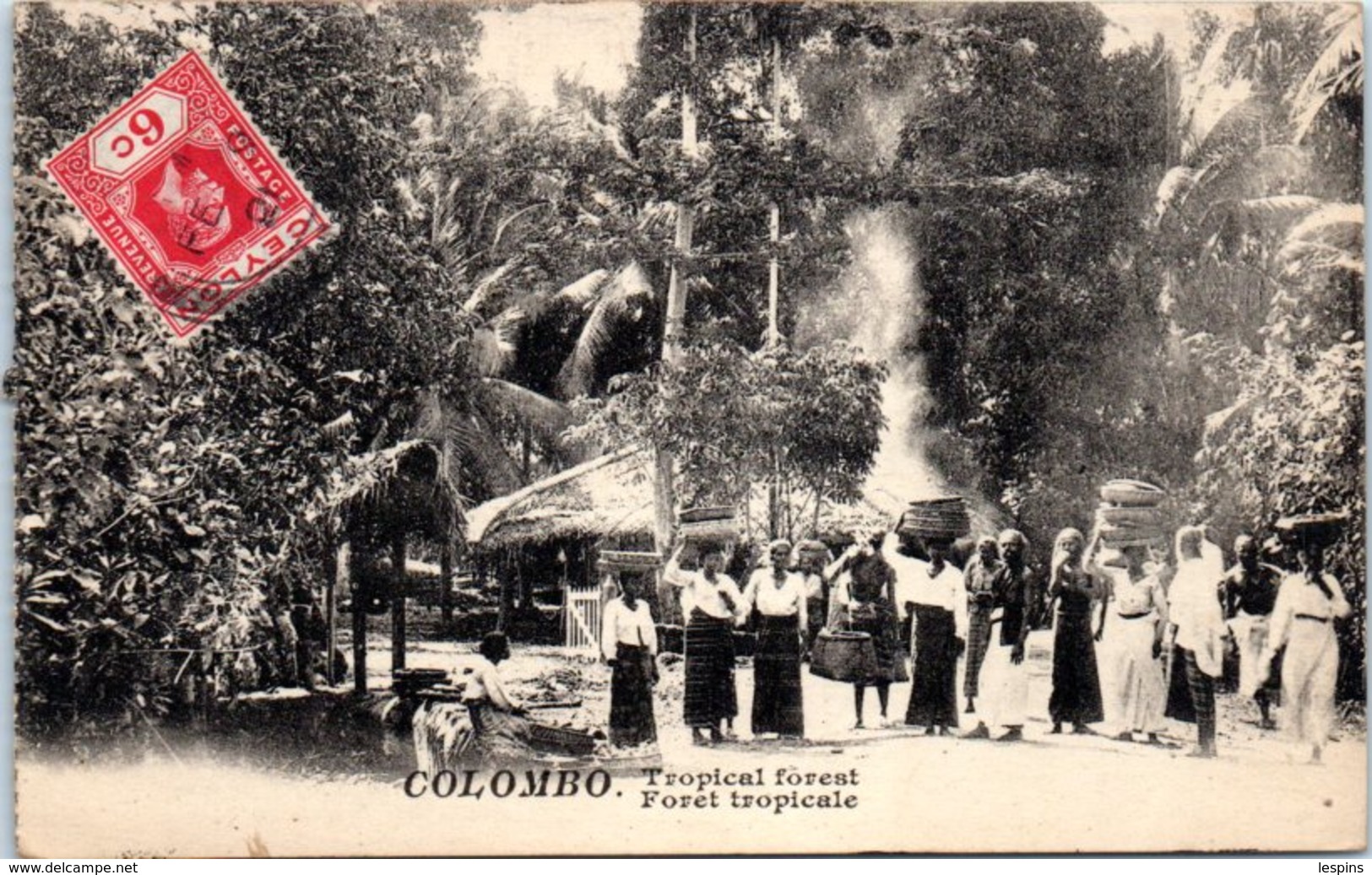 ASIE - SRI LANKA ( CEYLON ) -- - COLOMBO - Forêt Tropicale - Sri Lanka (Ceylon)