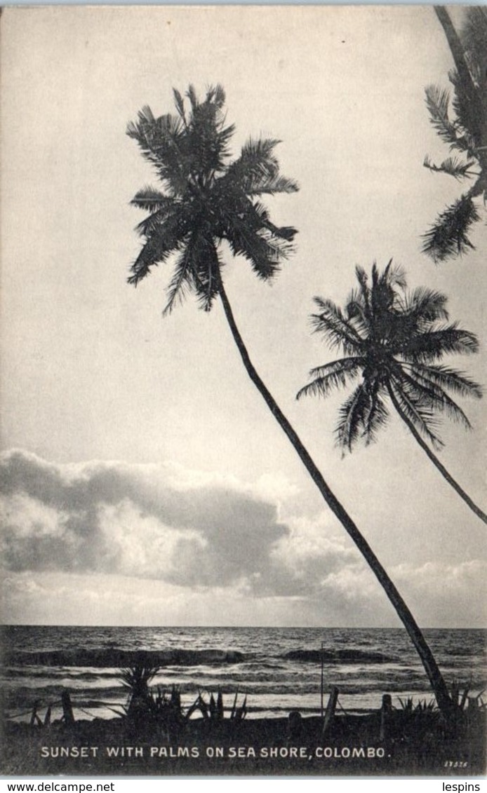 ASIE - SRI LANKA ( CEYLON ) -- - COLOMBO - Sunset With Palms - Sri Lanka (Ceylon)