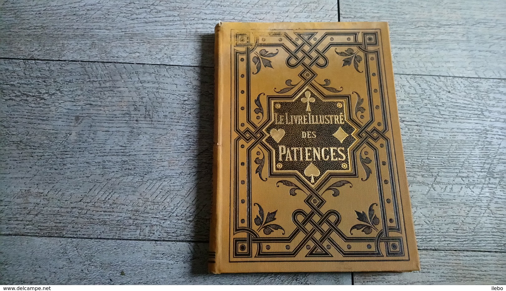 Le Livre Illustré Des Patiences 60 Jeux De Patiente Comtesse De Blancoeur - Gesellschaftsspiele