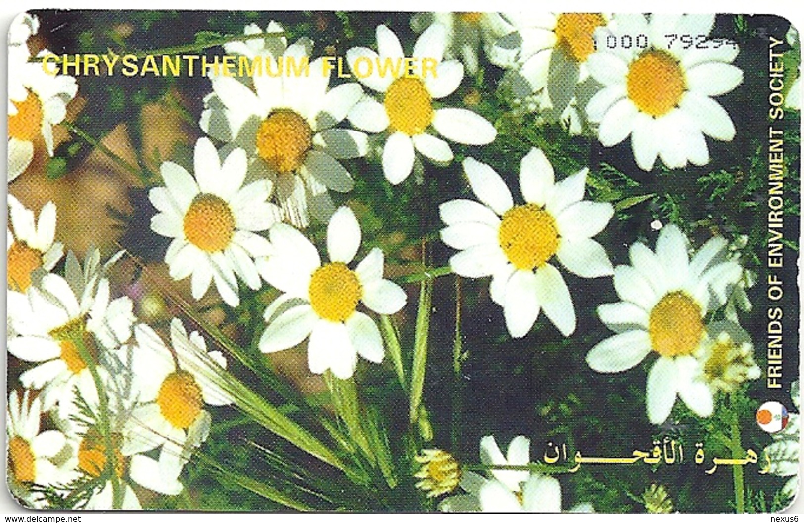 Jordan - Alo - Chrysanthemum Flower, 07.1998, 200.000ex, Used - Jordania