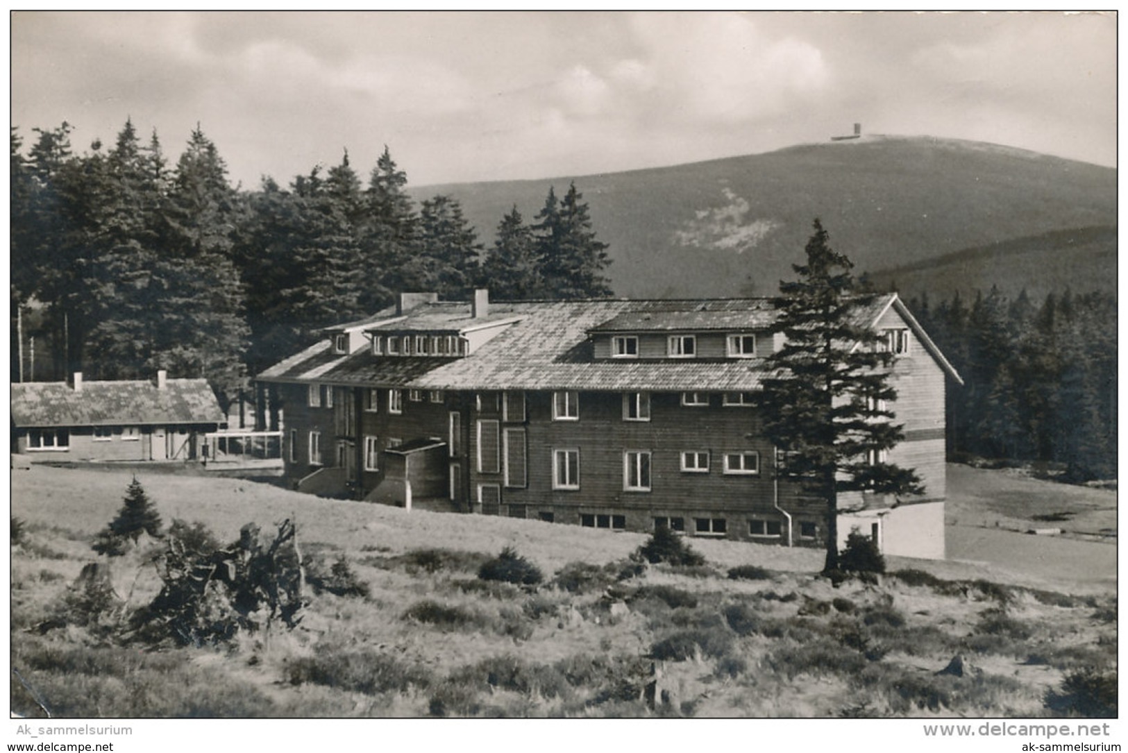 Torfhaus / Altenau / Goslar / Jugendherberge (D-A20) - Altenau