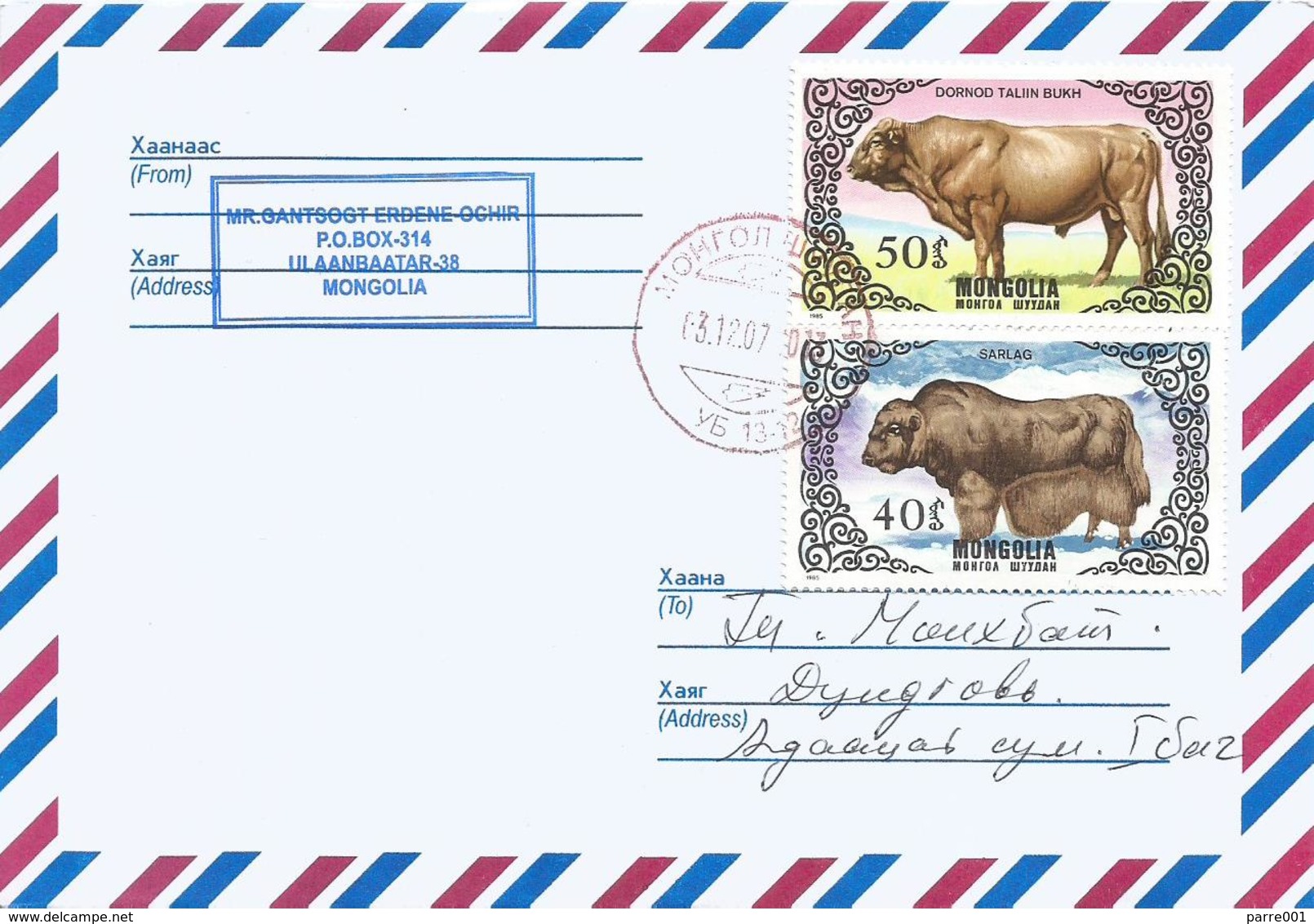 Mongolia 2014 Ulaanbaatar Cow Dornod Talin Bukh Yak Bos Mutus Domestic Cover - Mucche