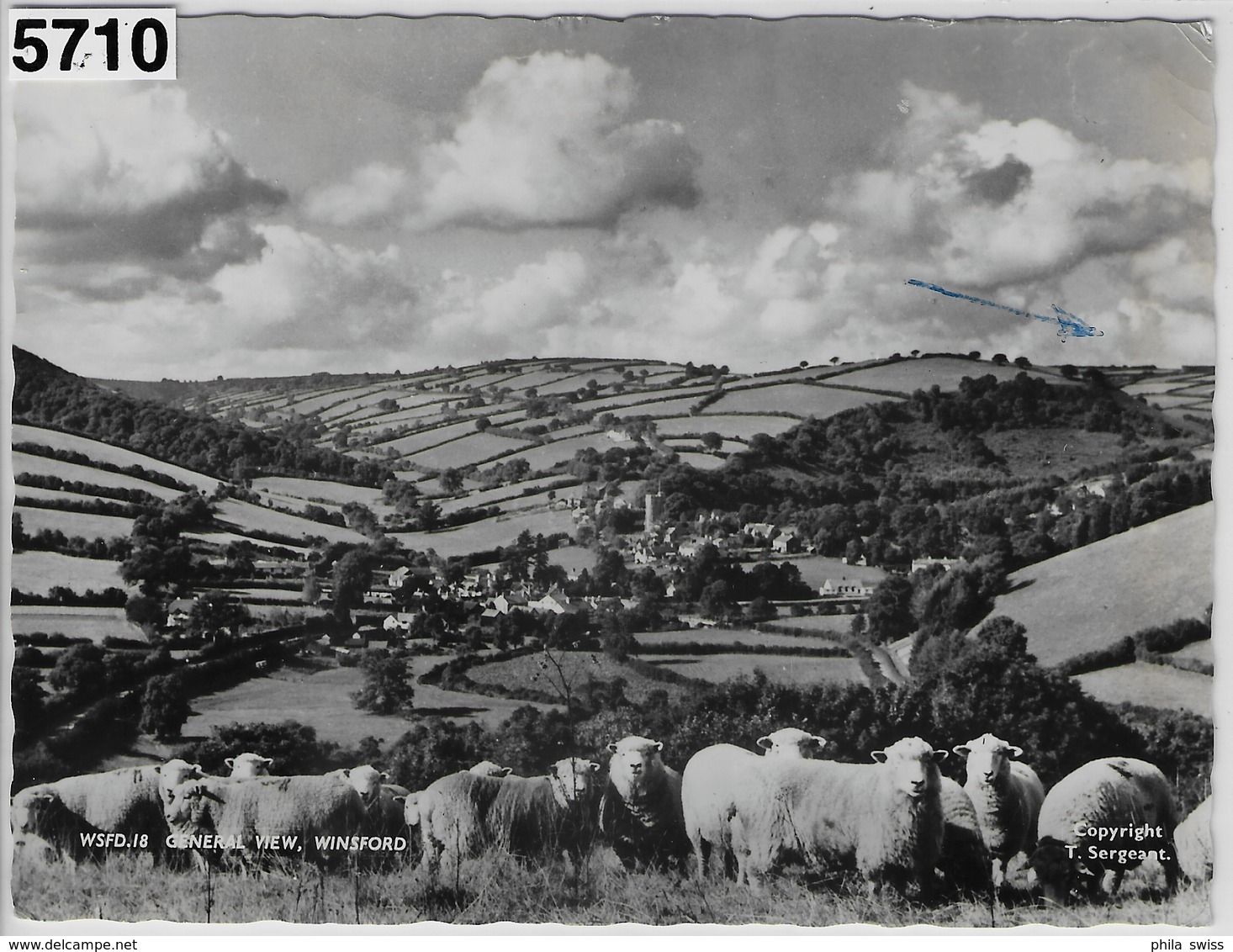 Winsford - Gerneral View - Schafe Sheep - Minehead