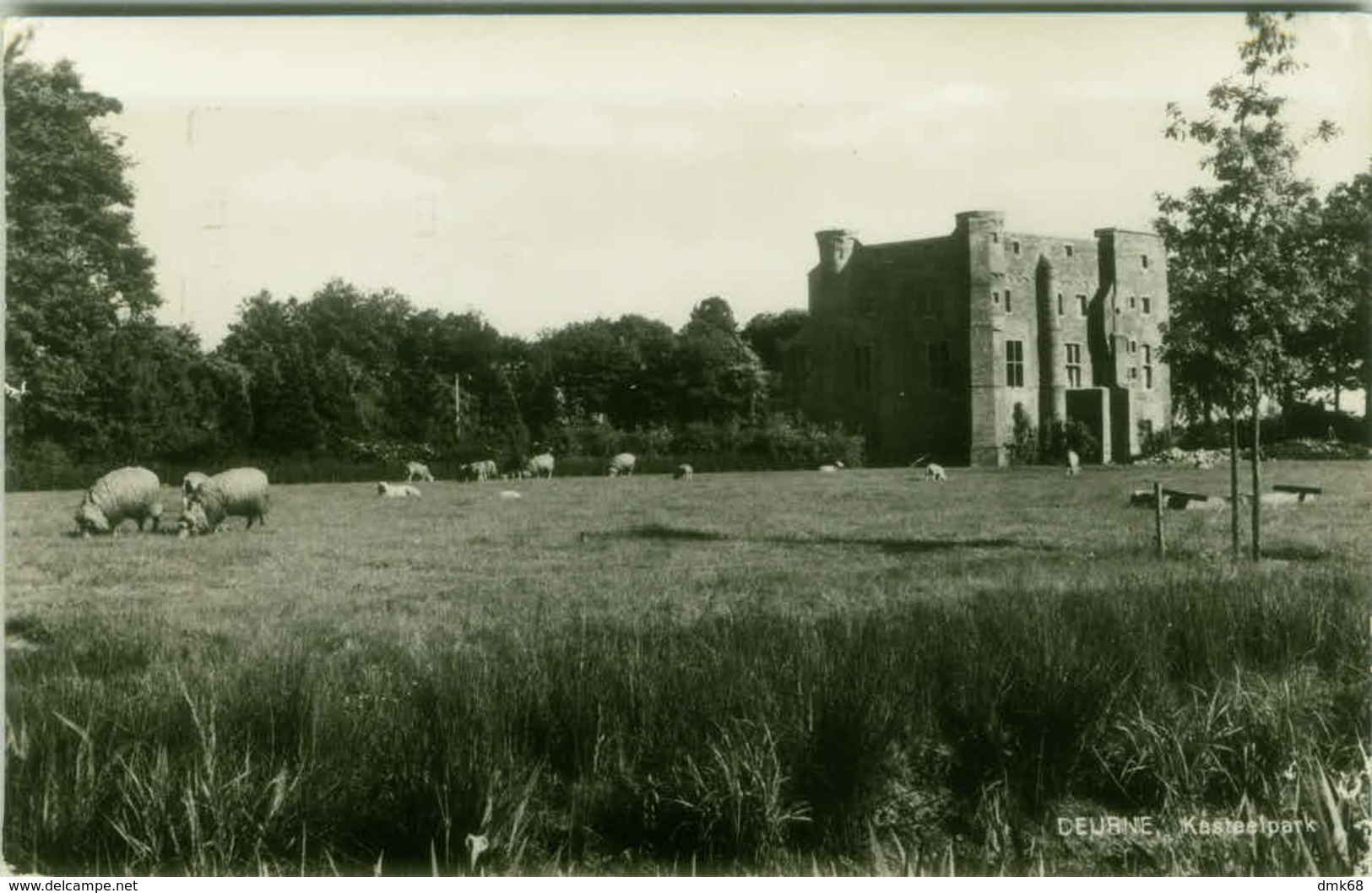 NETHERLANDS - DEURNE KASTEELPARK - 1950s/60s  (BG3623) - Deurne