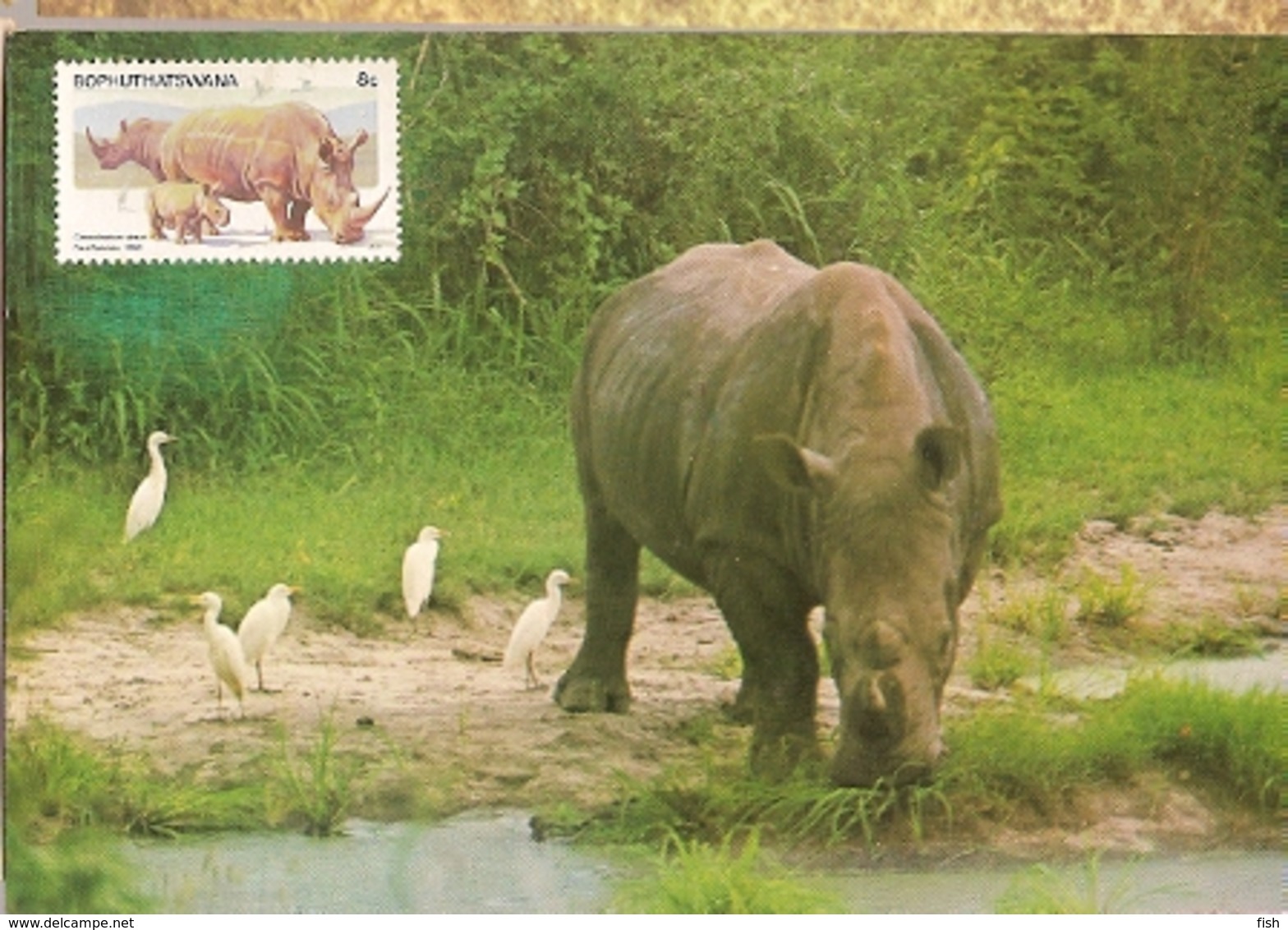 Botswana & Postal, Fauna, Rinoceronte,  Rhinocerontidae, Ceratotherium Simum,  Harare 1983 (3755) - Botswana