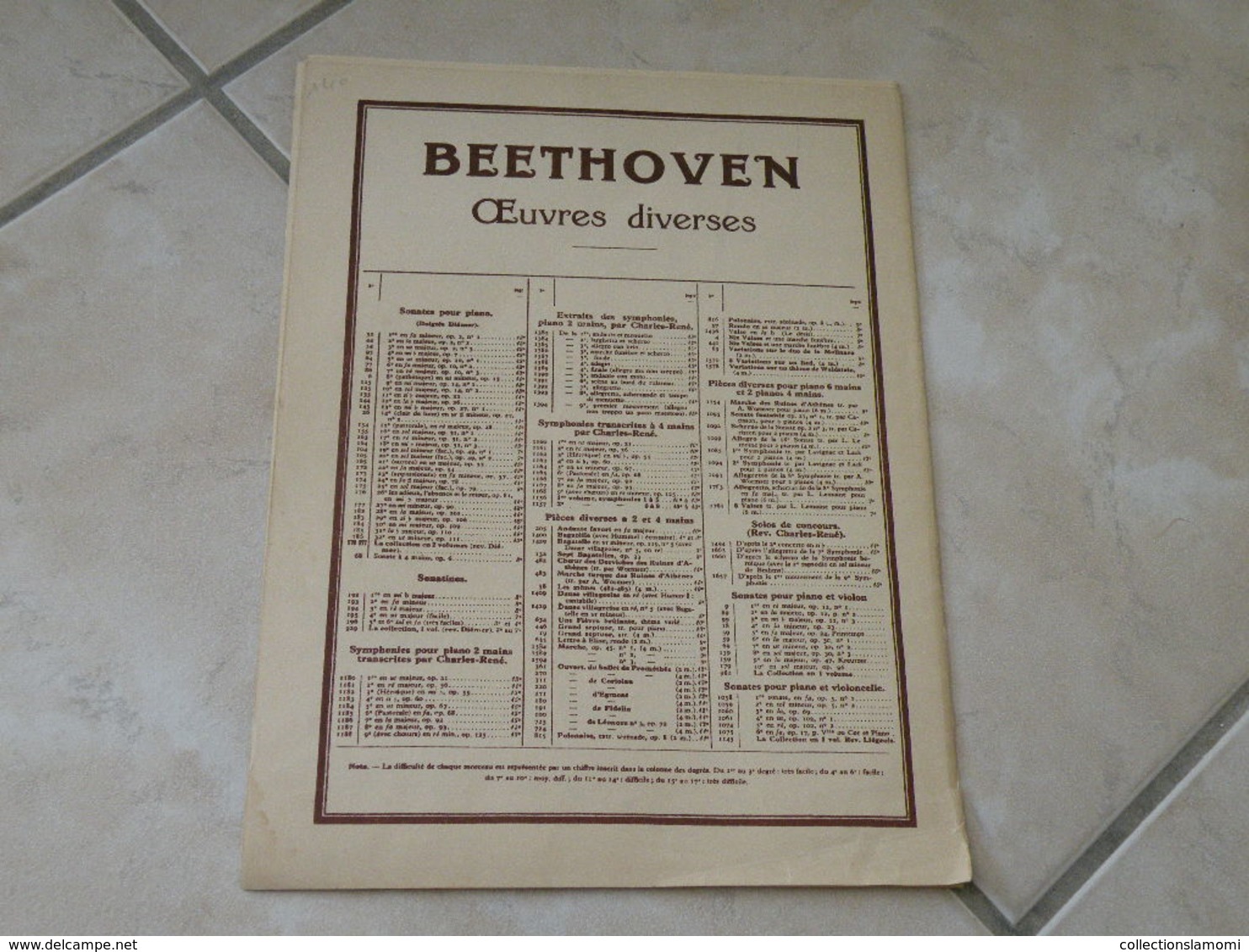 Clair de Lune sonate n°14 (L.Van. Beethoven) - Musique classique piano (Panthéon des pianistes)