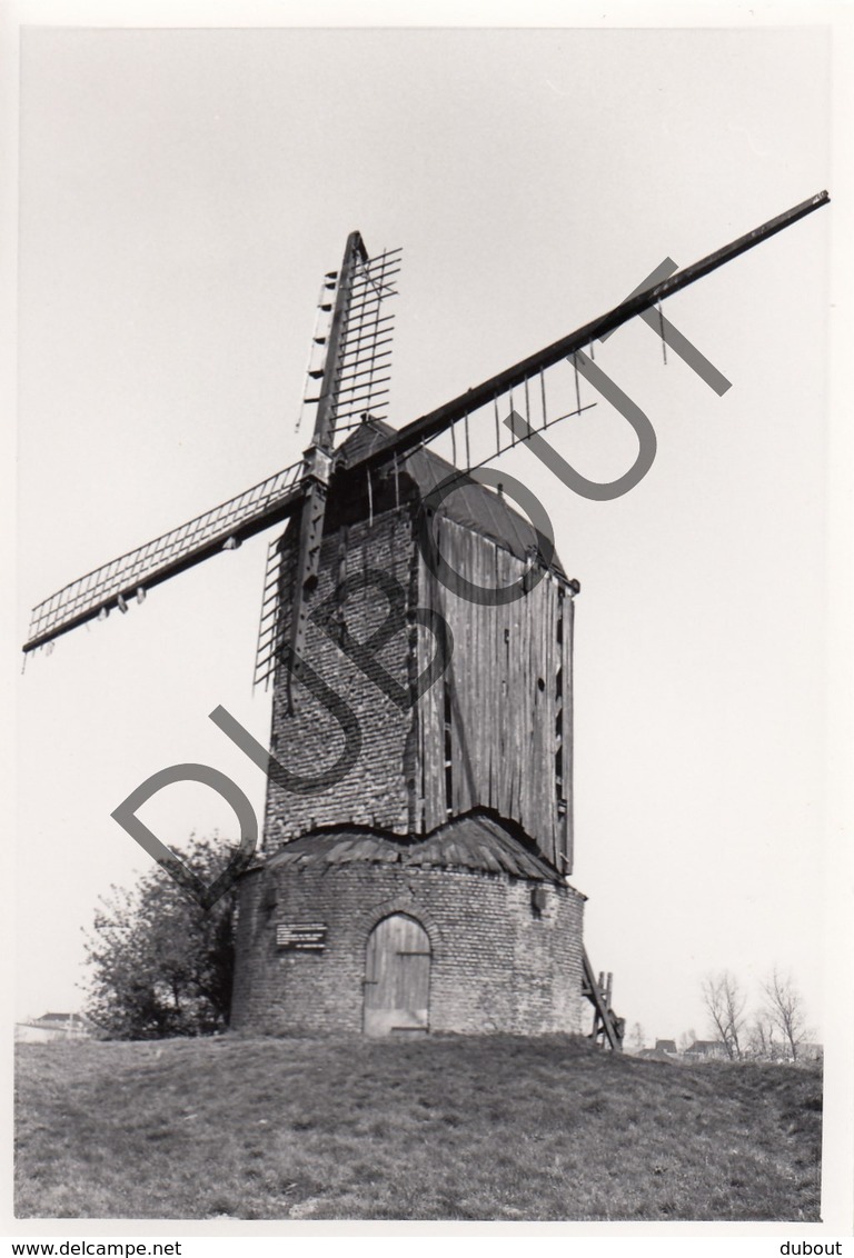 ZARREN / KORTEMARK  Molen / Moulin - Originele Foto Jaren '70 A.Carre - Wullepitmolen  (Q112) - Kortemark