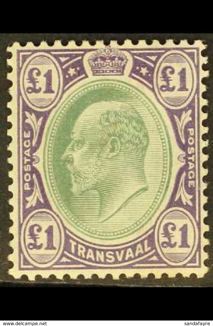 TRANSVAAL  1904-09 £1 Green & Violet, Wmk Mult Crown CA, Chalk-surfaced Paper, SG 272a, Very Fine Mint. For More Images, - Zonder Classificatie