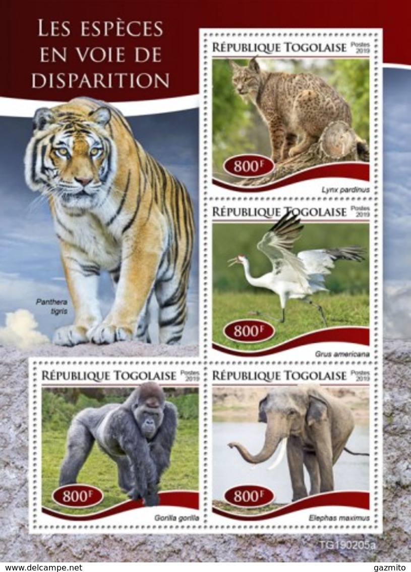 Togo 2019, Animals In Danger, Tiger, Gorilla, Elephant, 4val In BF - Gorilas