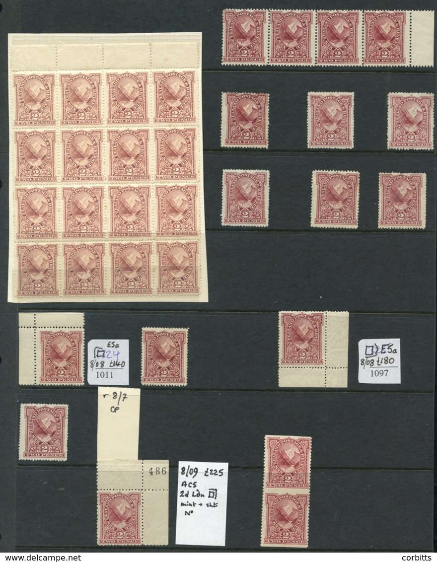 1898 2d Pembroke Peak, A Lovely Selection With UM Block Of 16 (unplated) In An Unusual Pale Shade (some Perf. Separation - Otros & Sin Clasificación