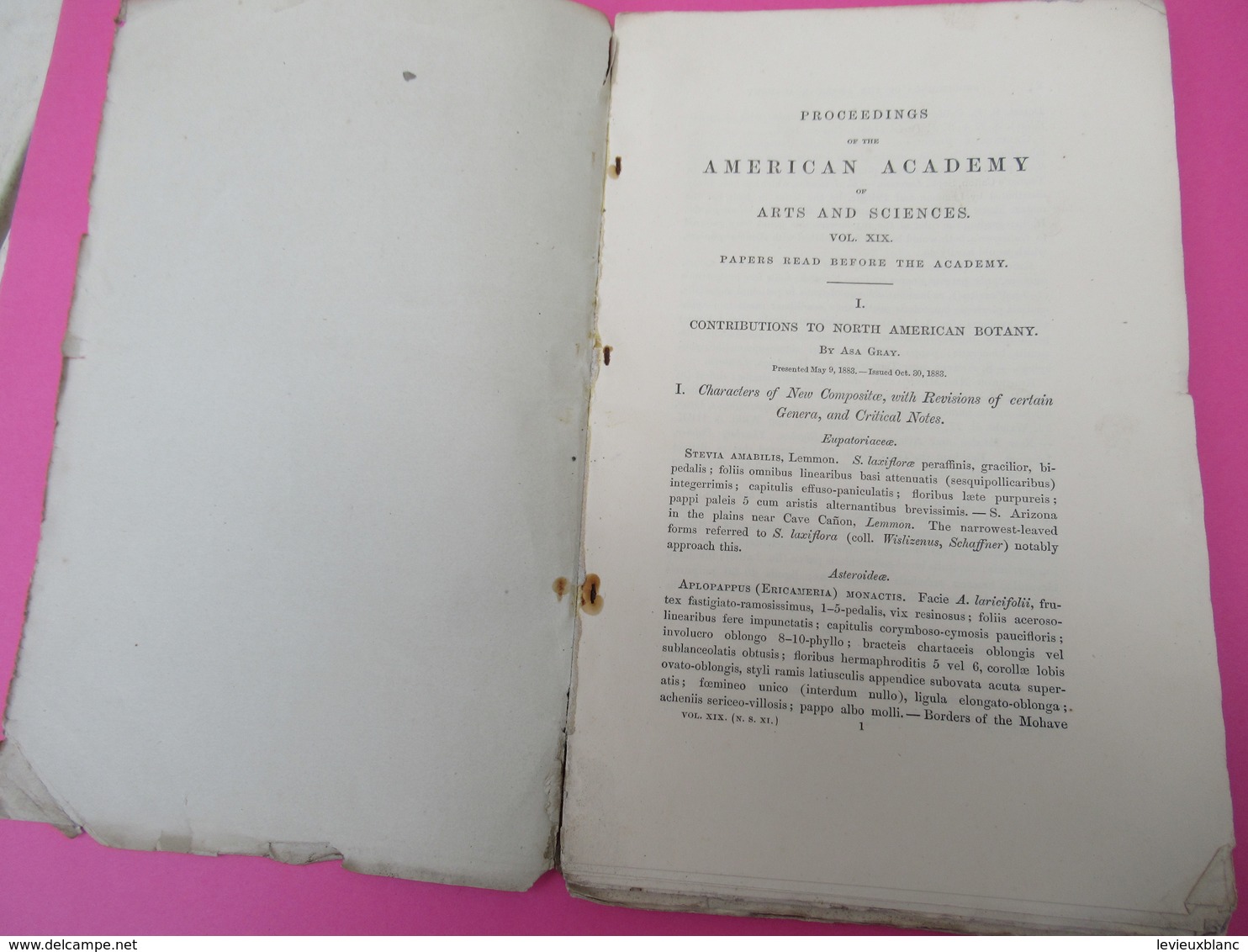 Livre /Botanique ASA GRAY/Contributions To North American Botany/American Academy Of Art And Sciences/1883      MDP107 - Autres & Non Classés