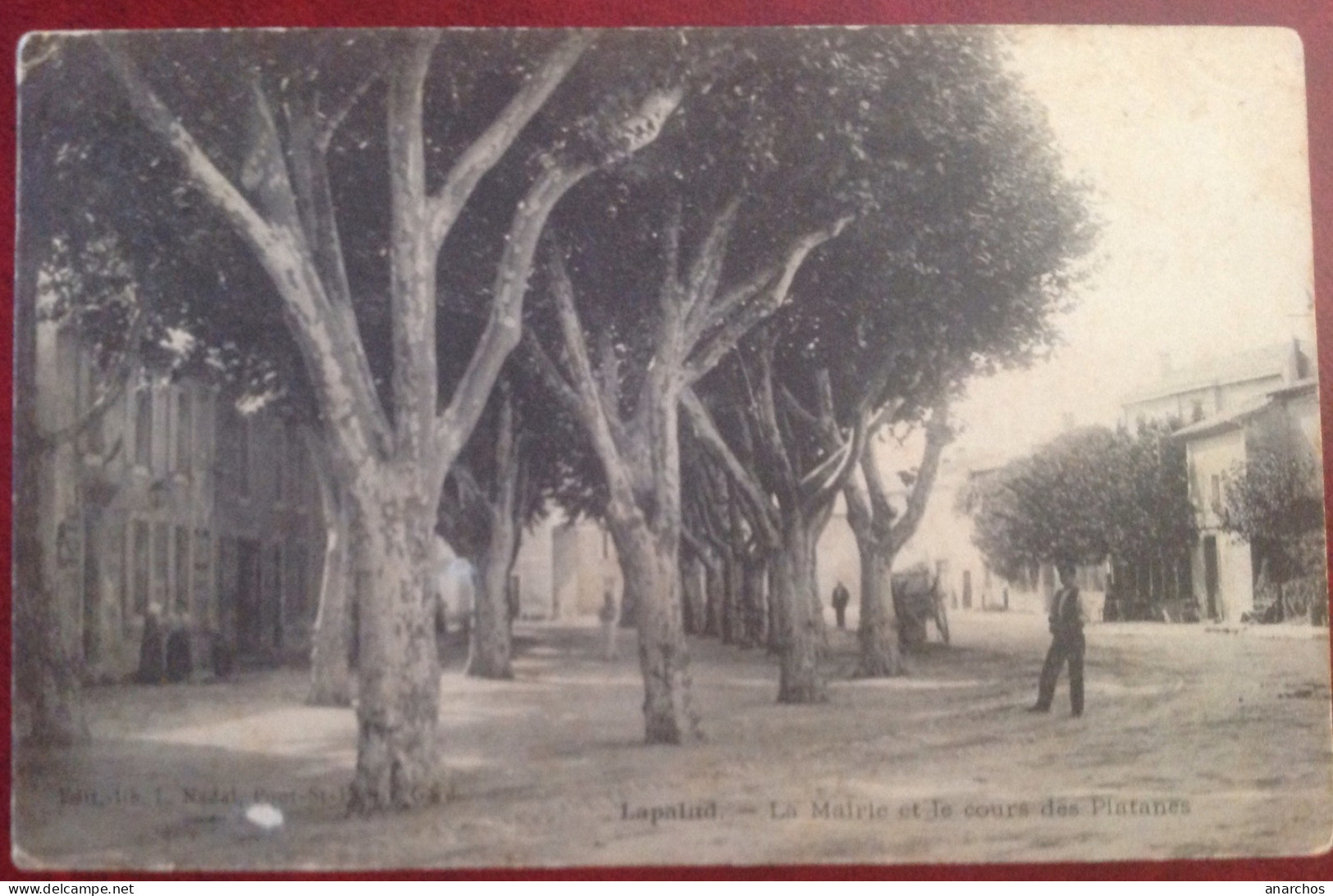 Lapalud La Mairie Et Le Cours Des Platanes - Lapalud