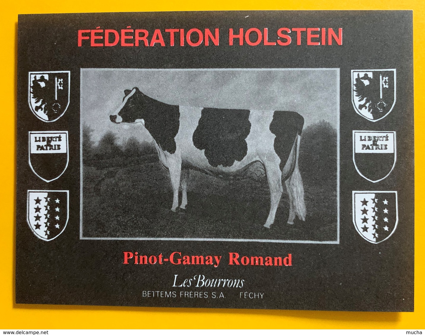 10914 - Fédération Holstein Pinot-Gamay Les Bourrons   Suisse - Vaches
