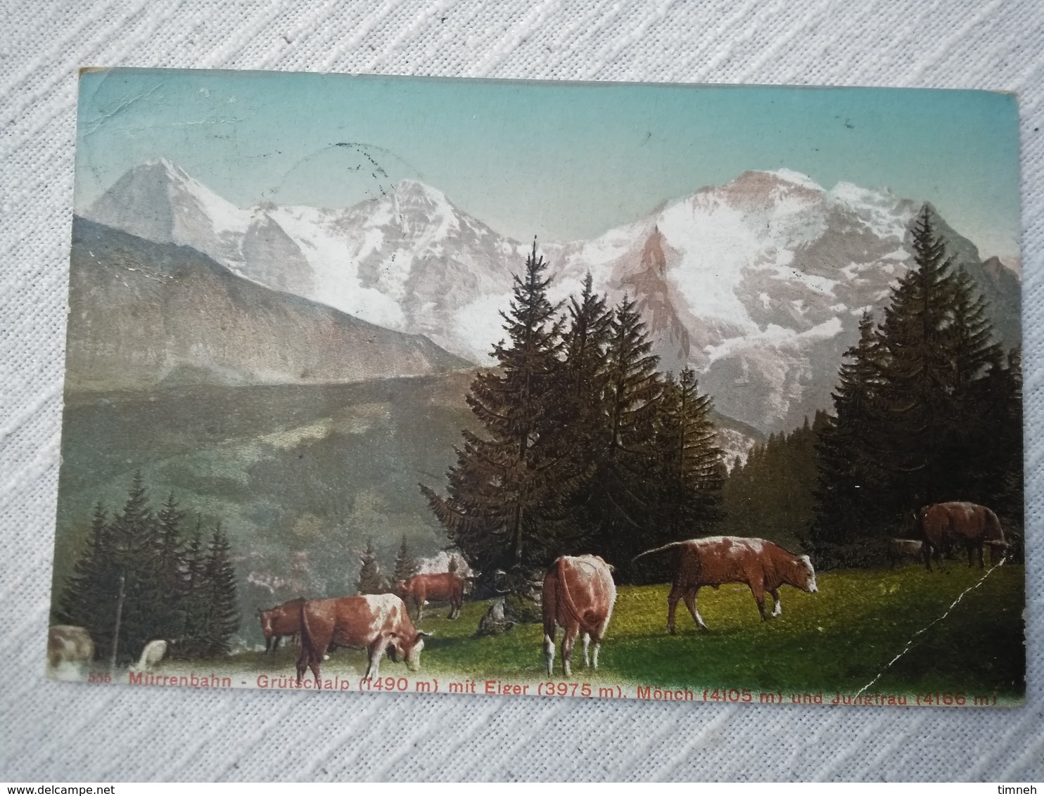 CPA MURRENBAHN GRUTSCHALP EIGER MONCH JUNGFRAU -  SUISSE - VACHES ALPAGE - 1907 écrite - Mürren