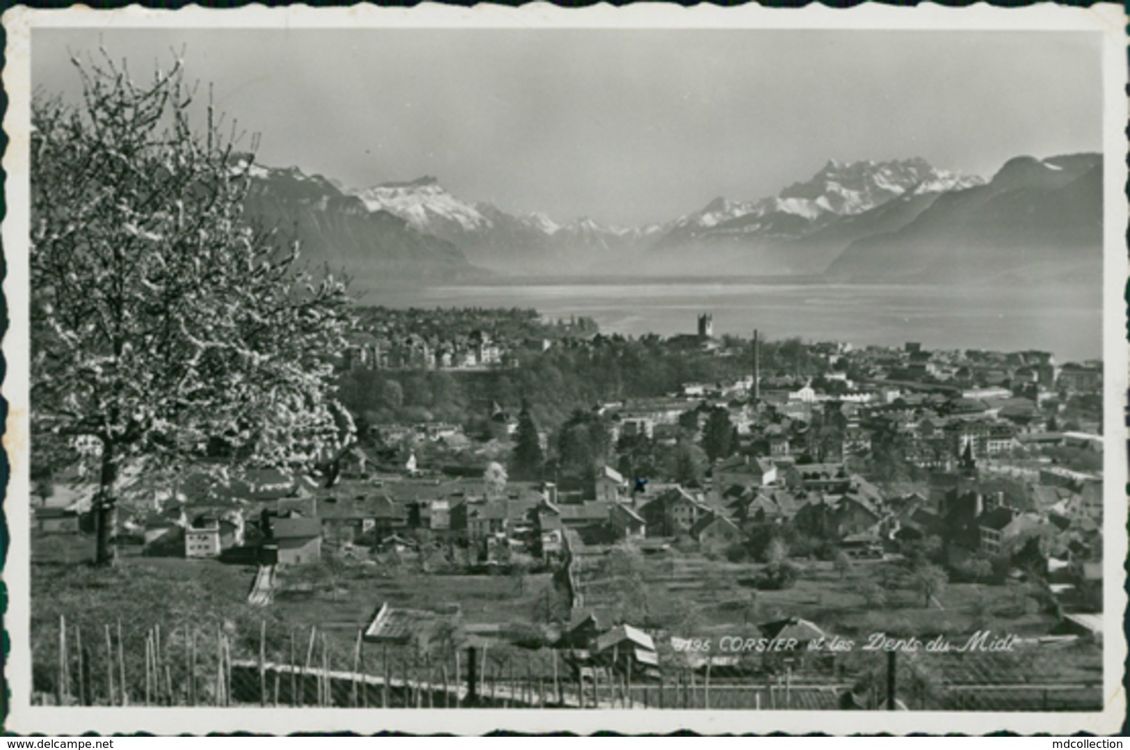 CH CORSIER / Et Les Dents Du Midi / - Corsier