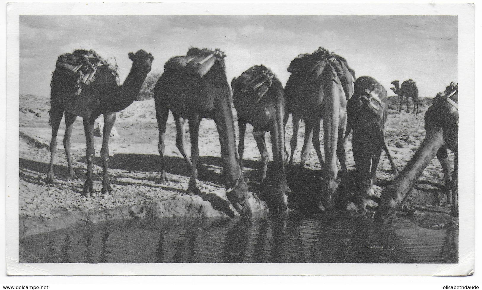 MAROC ESPAGNOL - 1953 - CARTE POSTALE MEDICALE De LARACHE => DRAGUIGNAN - Spanisch-Marokko