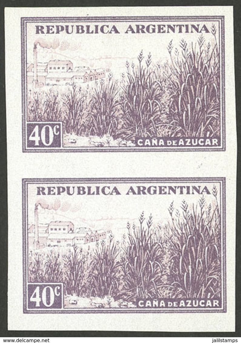 ARGENTINA: GJ.768P, 40c. Sugar Cane, Chalky Paper, Imperforate Pair With Sheet Margin, MNH - Autres & Non Classés