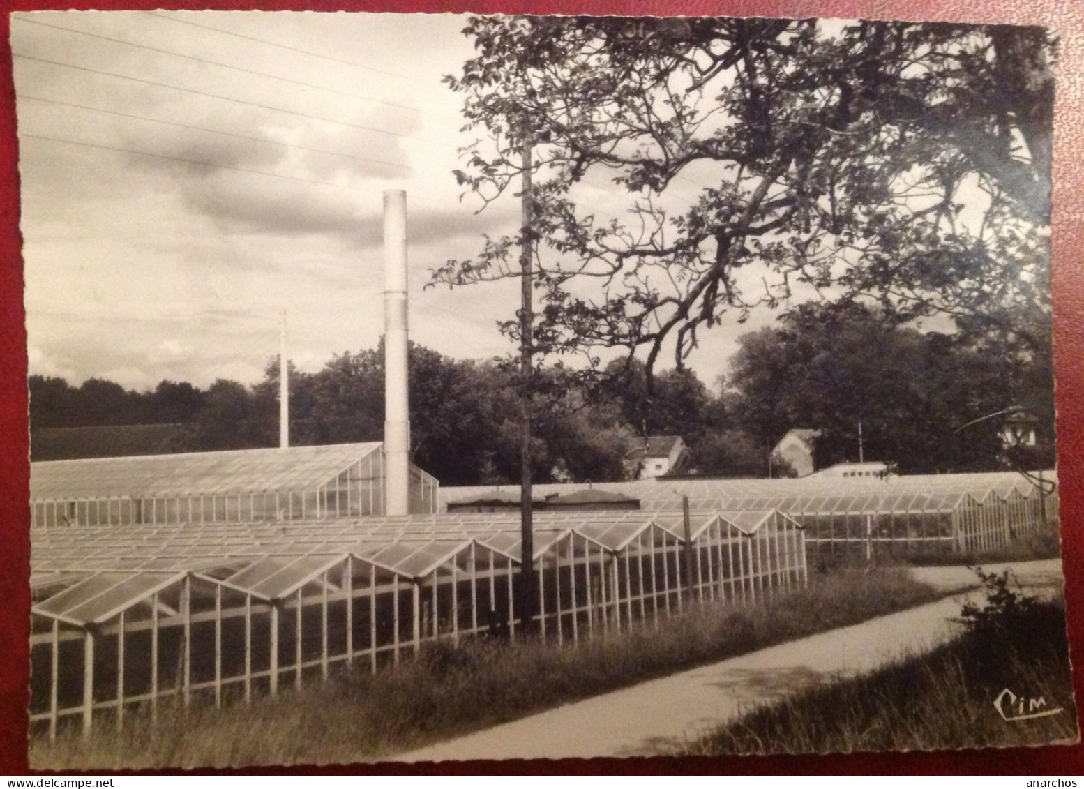 Les Serres Jouancy Hameau De Soucy - Soucy