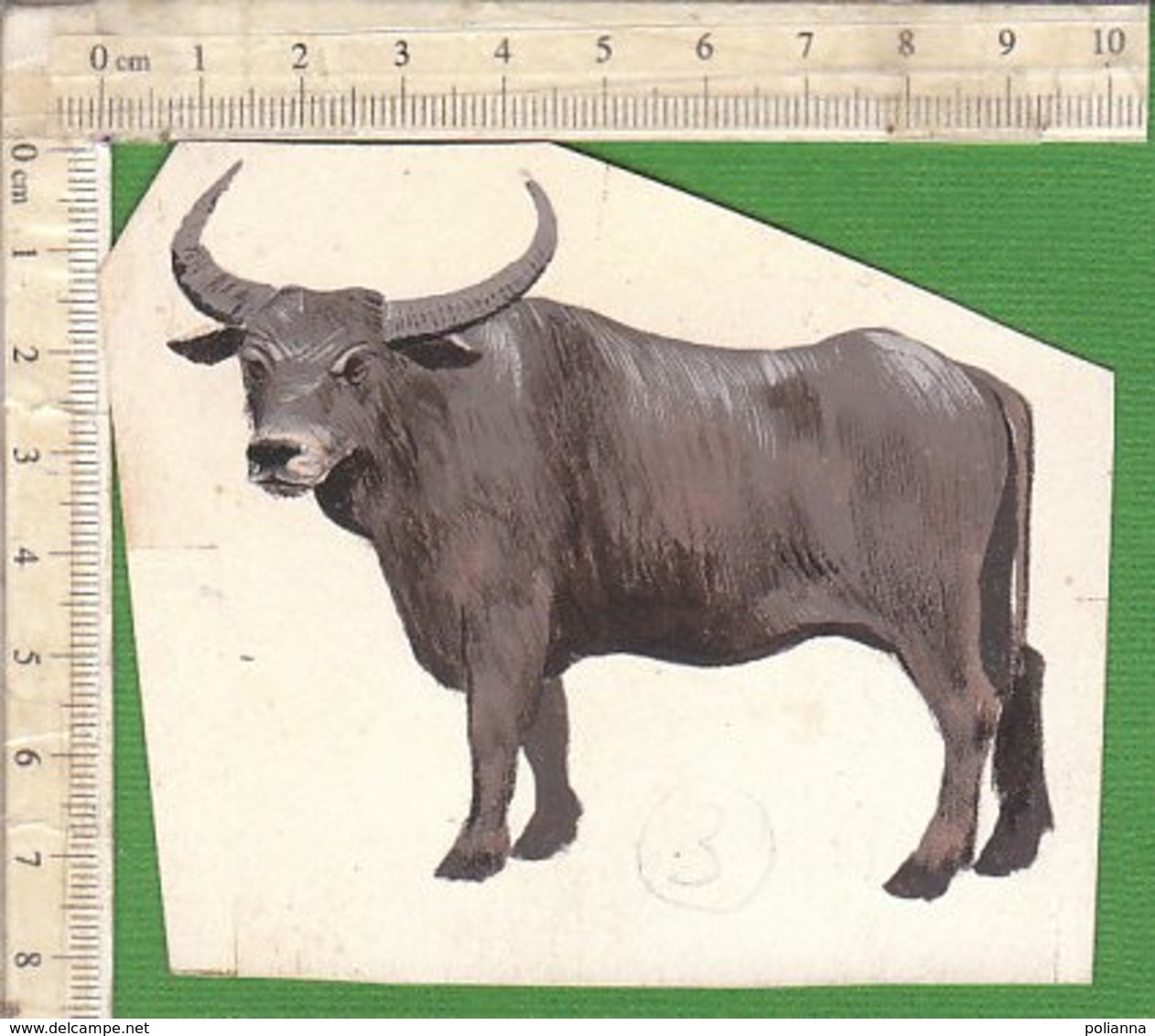 PO8916D# FIGURINA DIPINTA A MANO HAND PAINTED - ANIMALI - BUFALO INDIANO - Dieren