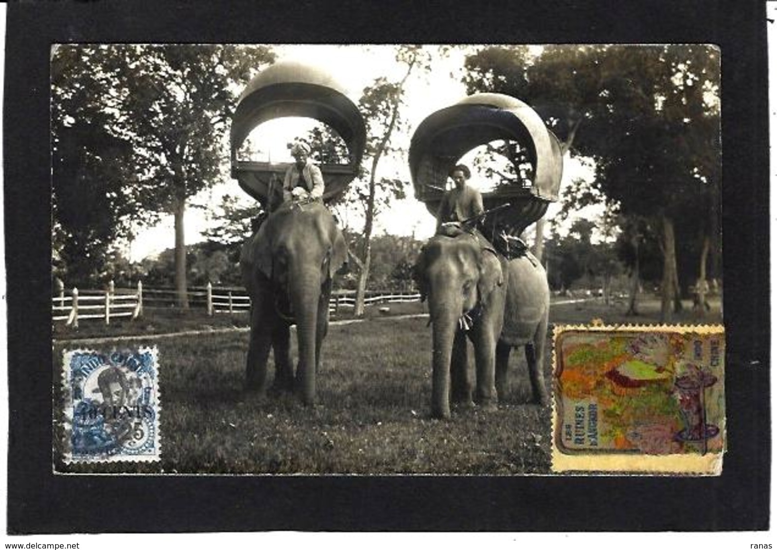 CPA éléphant Asie Carte Photro Circulé - Éléphants