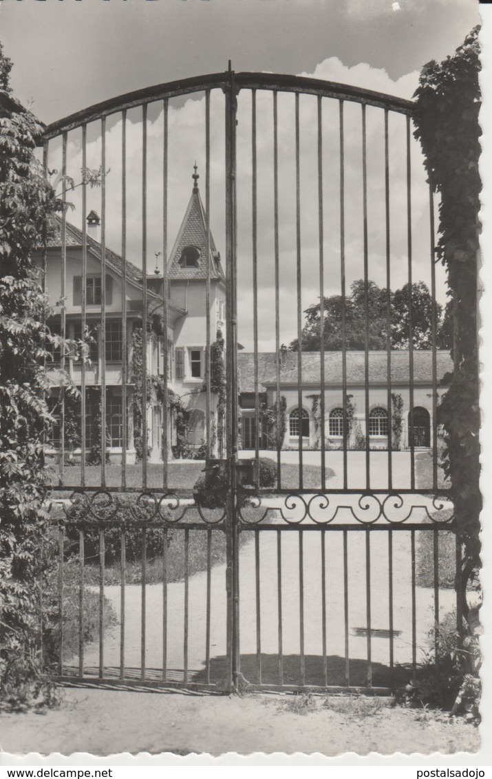 (CH1172) CELIGNY. CHATEAU DE BOSSEY. INTITUT OECUMENIQUE ... UNUSED - Céligny