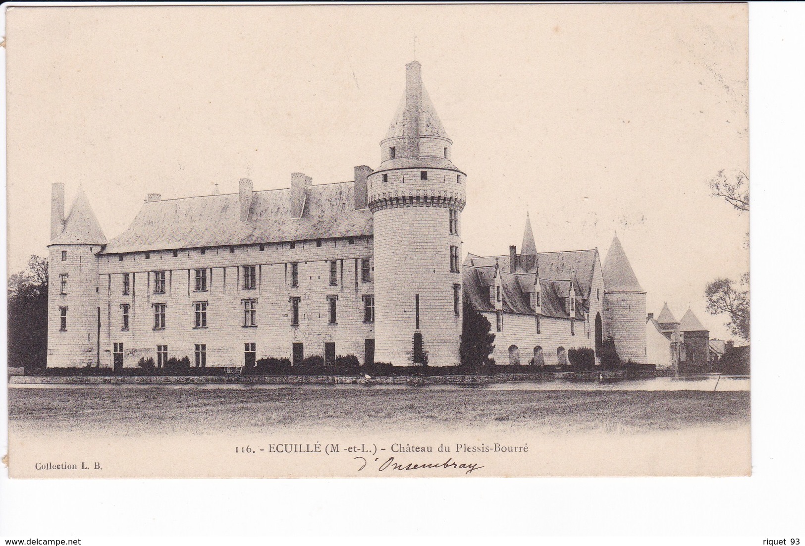 116 - ECUILLE - Le Château Du Plessis-Bourré - Other & Unclassified