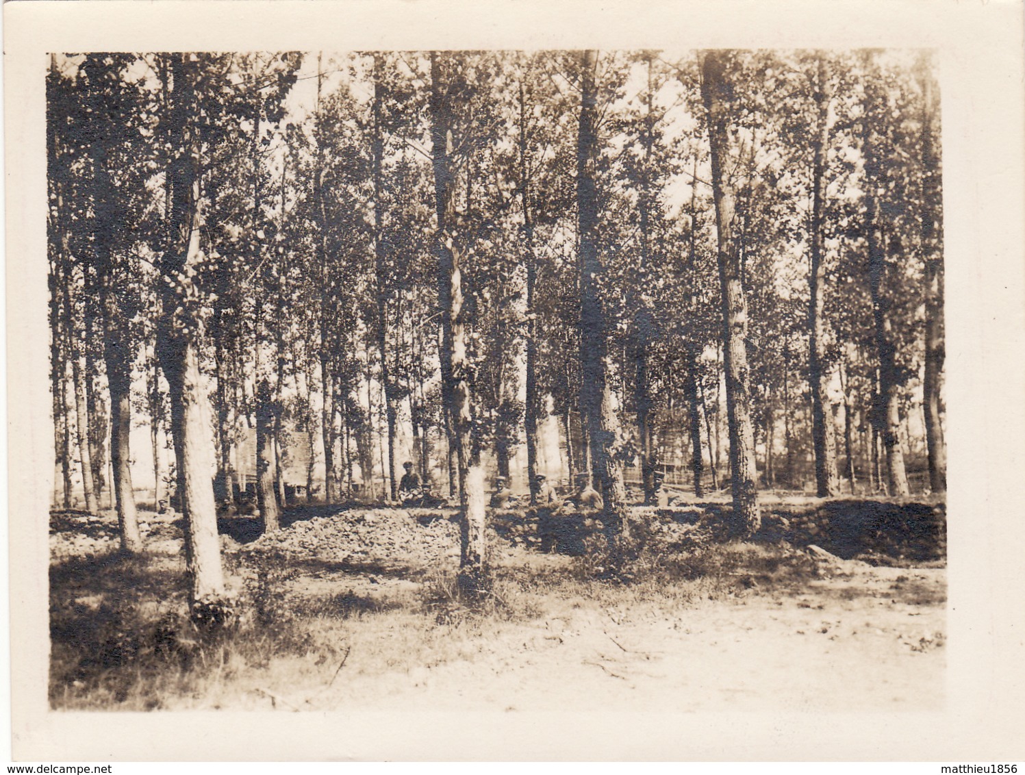 Photo 14-18 VILLE-SUR-TOURBE, SERVON - Position Allemande Au Bois De Ville (A212, Ww1, Wk 1) - Ville-sur-Tourbe