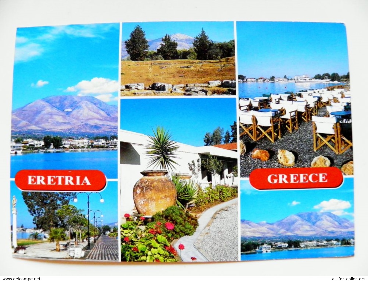 Post Card Carte Greece 2008 Animals Fishes Poissons Eretria - Covers & Documents