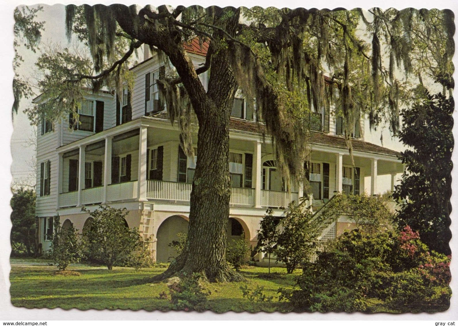 MARSHLANDS, Beaufort, South Carolina, Used Postcard [23387] - Beaufort