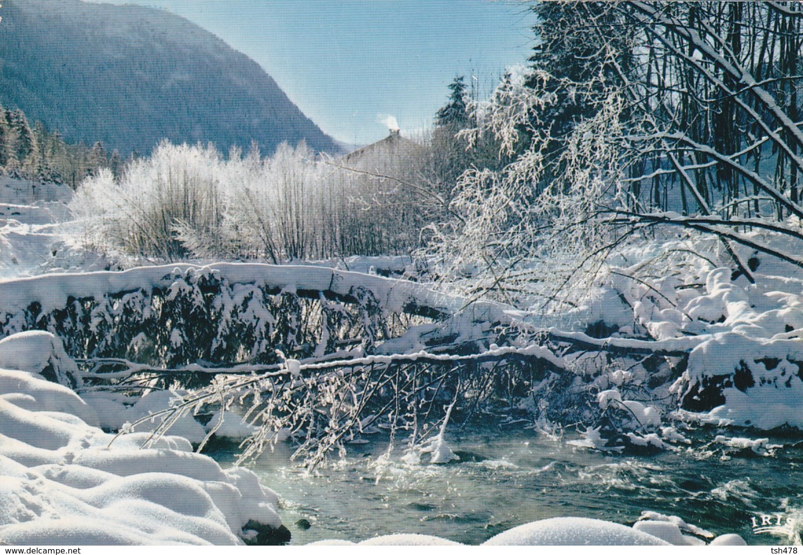 74-----LES CONTAMINES-MONTJOIE--effet De Givre Sur Le Bon Nant---voir 2 Scans - Contamine-sur-Arve