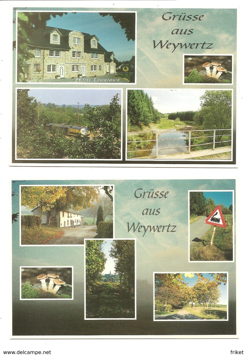 - 1311 -      WEYWERTZ Gruss Aus    (  2 Cartes Grand Format ) - Butgenbach - Butgenbach