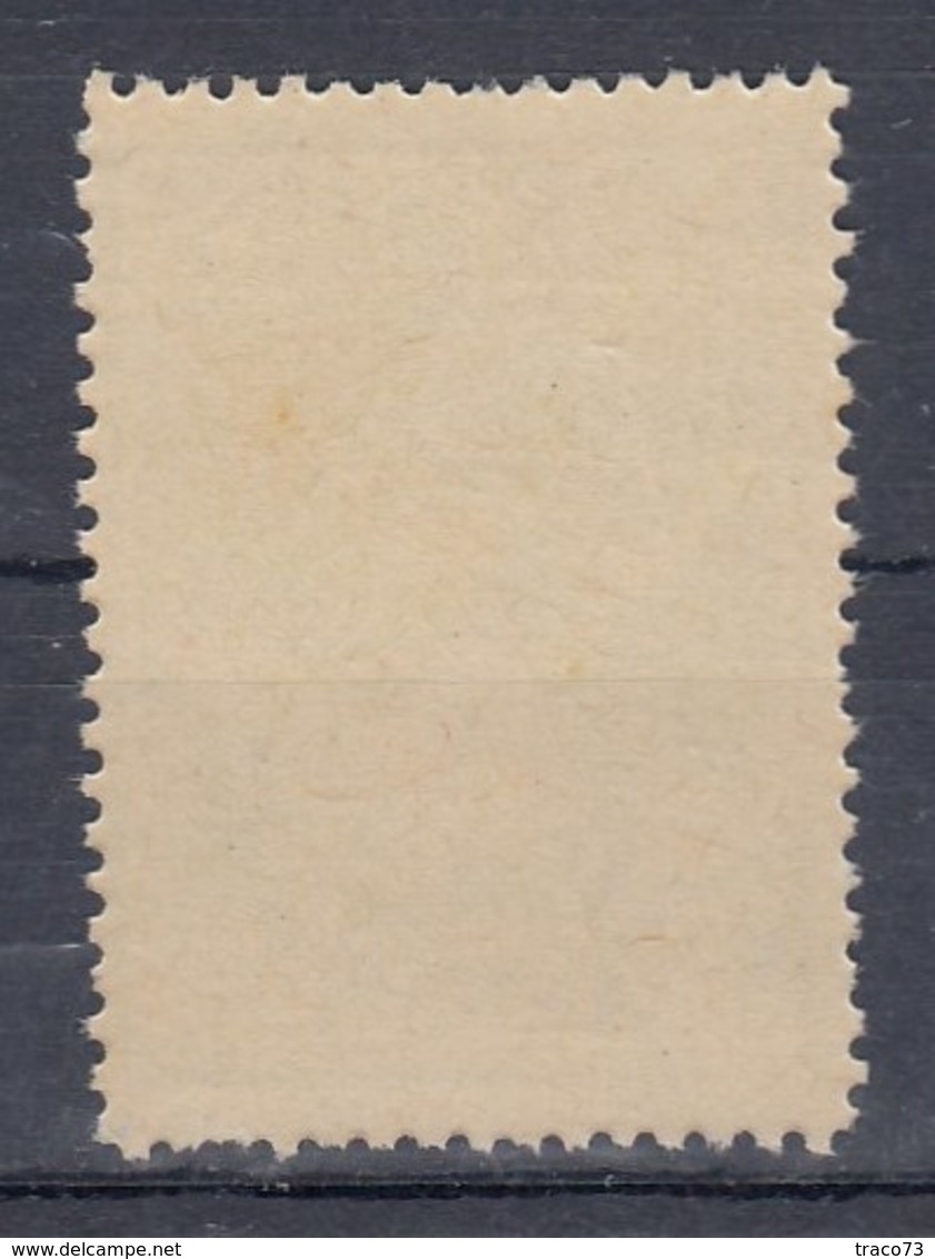 1920 ARBE  REGGENZA ITALIANA DEL CARNARO  /  5 CENT _ Nuovo - Other & Unclassified