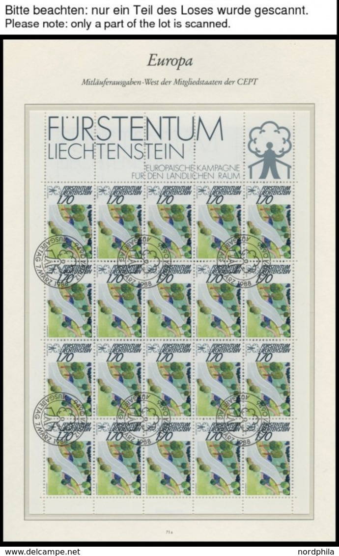 LIECHTENSTEIN 939-41KB O, 1988, Europäische Kampagne Für Den Ländlichen Raum Im Kleinbogensatz Mit Ersttagsstempeln, Pra - Otros & Sin Clasificación