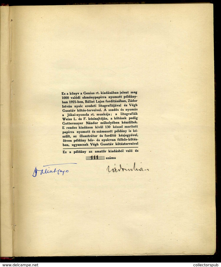 Chamisso, Adalbert Von: Schlemihl Péter Csodálatos Története.Bp., 1921. Genius. 107p.+8t. (Zádor István Felragasztott Kő - Zonder Classificatie