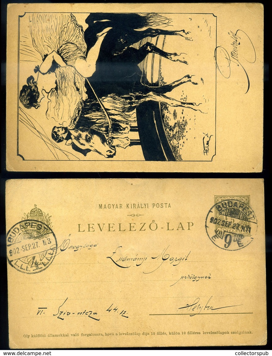 BUDAPEST 1902. Rajzos Helyi Díjjegyes Levlap   /  Drawn Local Stationery P.card - Oblitérés