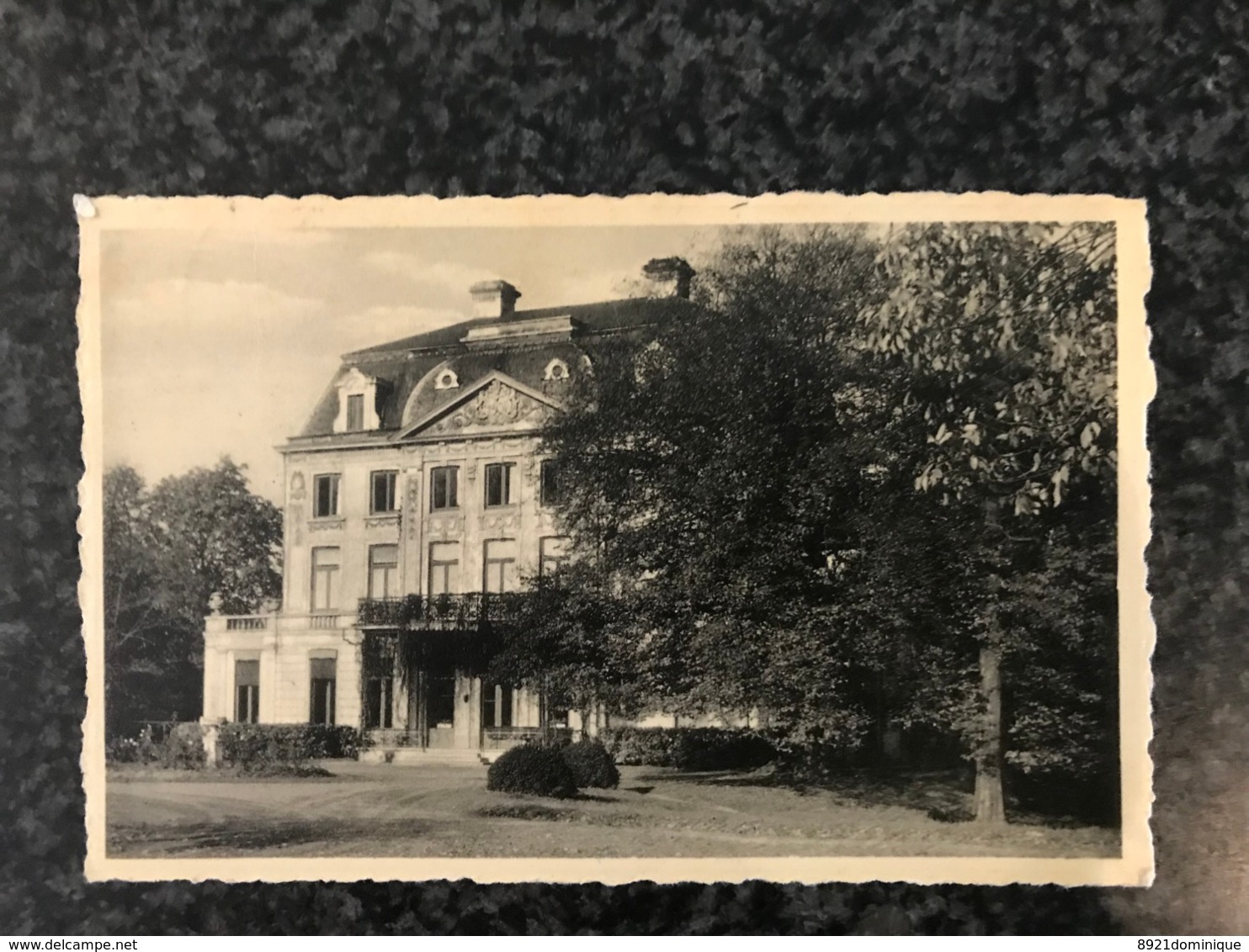 WIELSBEKE - Vogelzang Hernieuwenburg - Foto Daniel Oostrozebeke - Wielsbeke