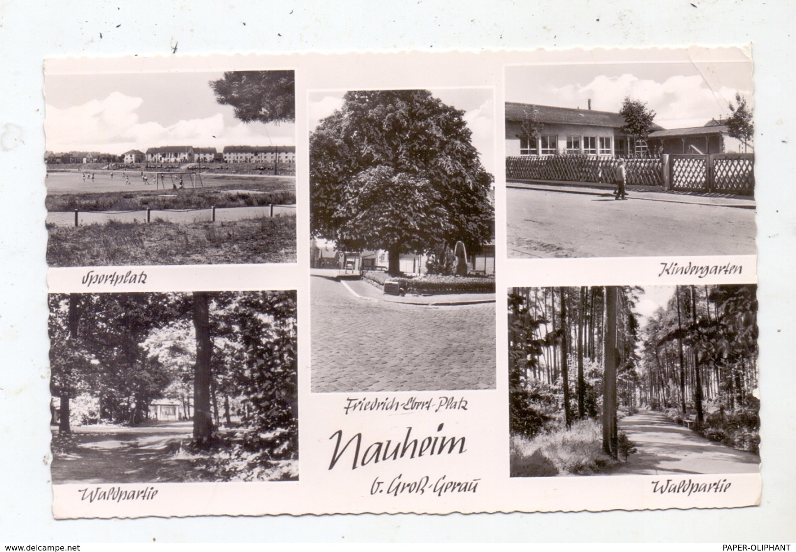 6085 NAUHEIM / Gross-Gerau, Sportplatz, Kindergarten, Friedrich-Ebert-Platz, Waldpartie, 1963 - Gross-Gerau