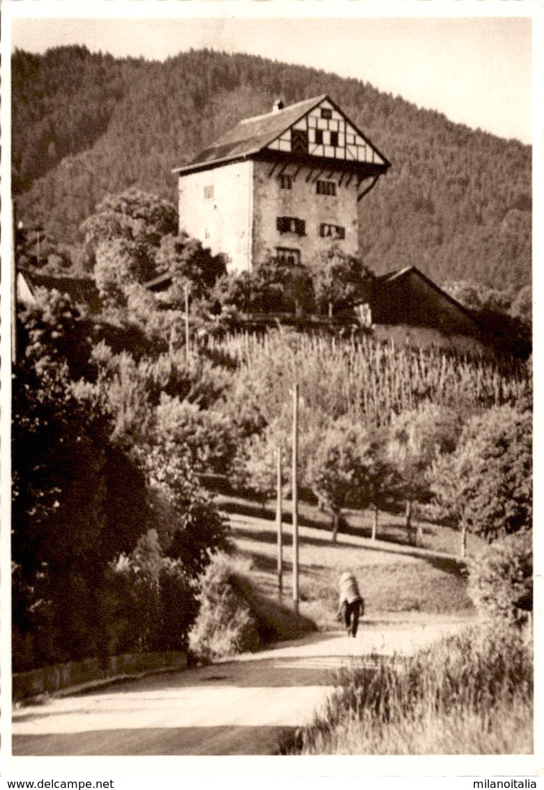 Burg Altstätten Nr. 117 - Altstätten