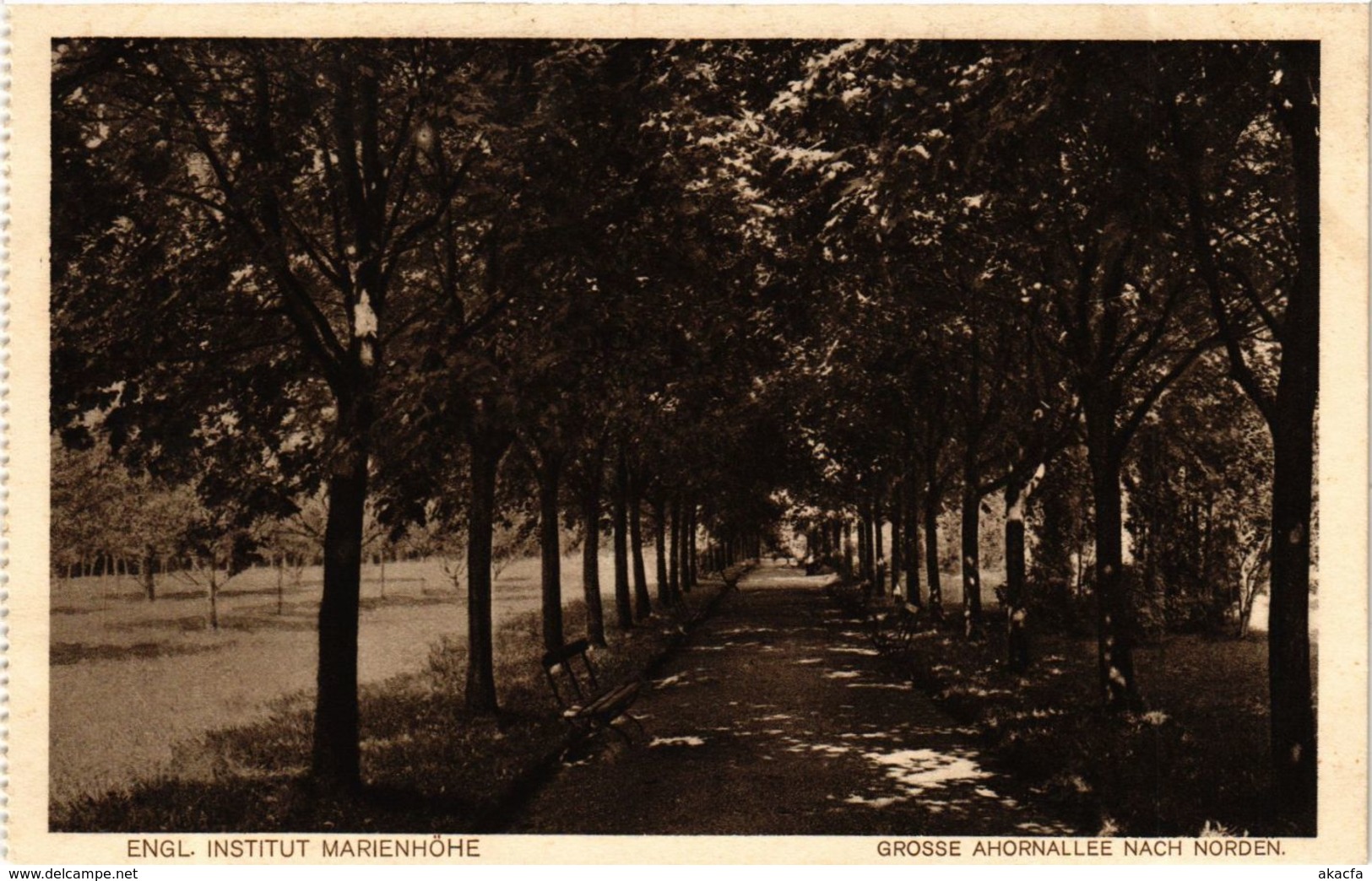 CPA AK Simbach Grosse Ahornallee Nach Norden GERMANY (891951) - Simbach