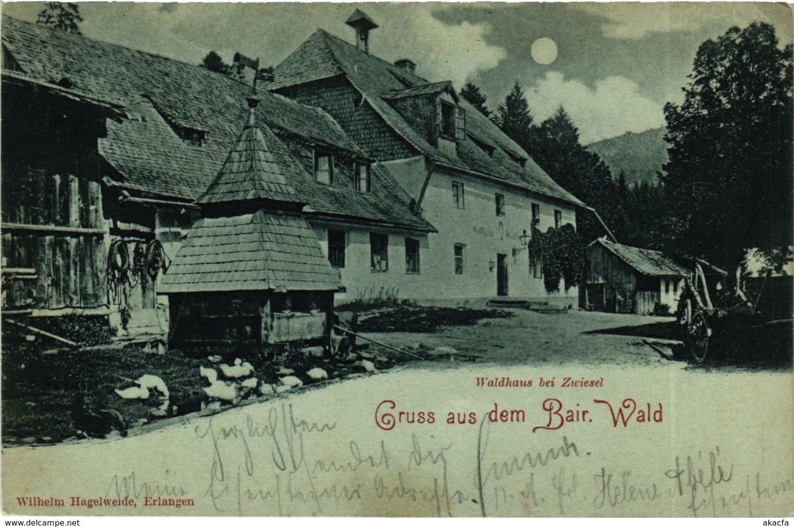 CPA AK Zwiesel Gruss Aus Dem Bair.Wald GERMANY (892123) - Zwiesel