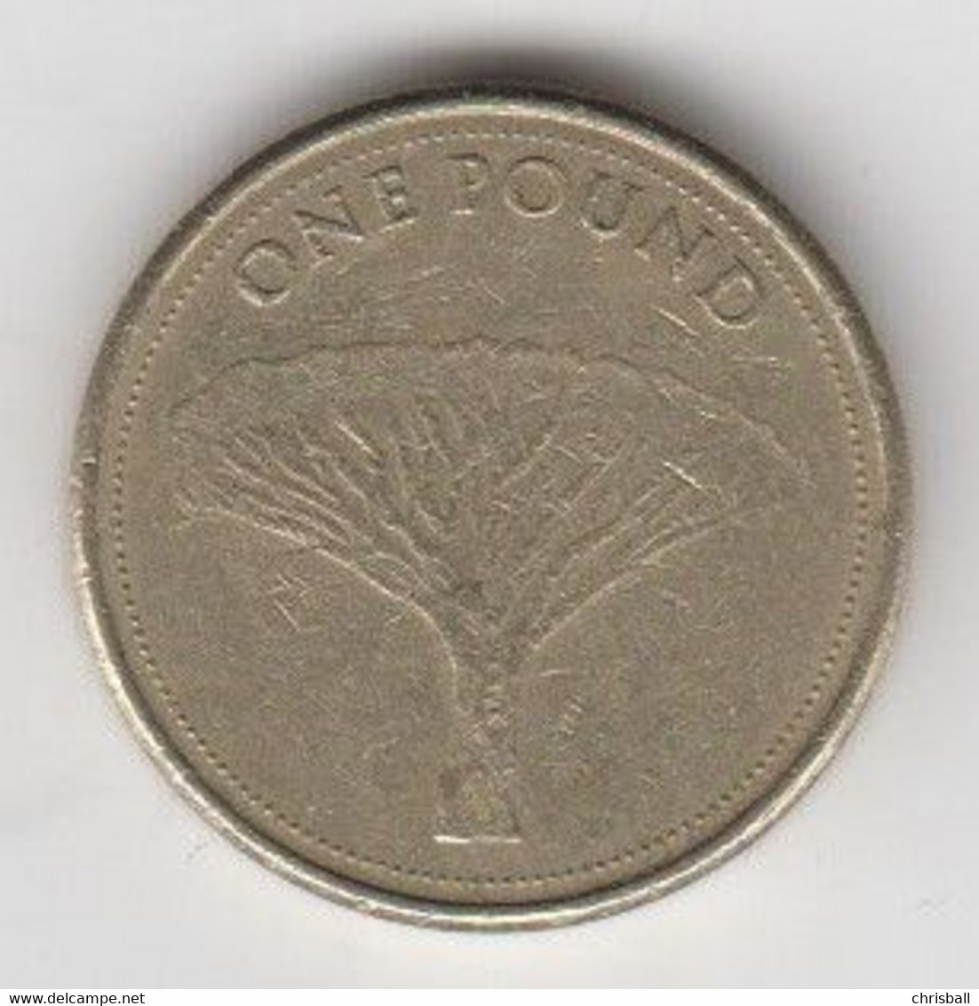 Gibraltar £1 Coin Gibraltar 2014 'Dragon Tree' Circulated - Gibraltar