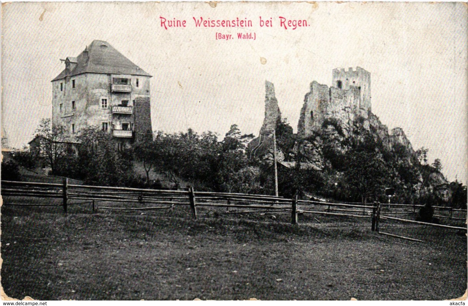 CPA AK Regen Ruine Weissenstein GERMANY (892531) - Regen