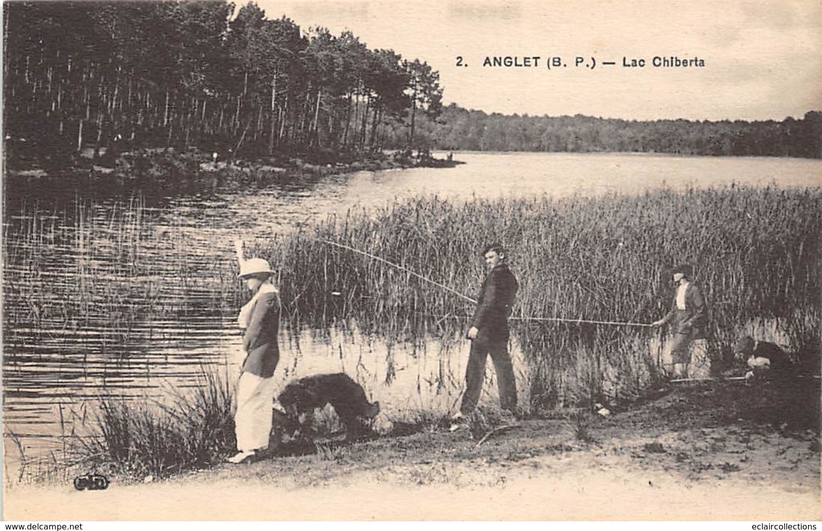 Thème.  Métier.   Pêche A La Ligne :    64   Anglet      Lac Chiberta        (Voir Scan) - Fishing