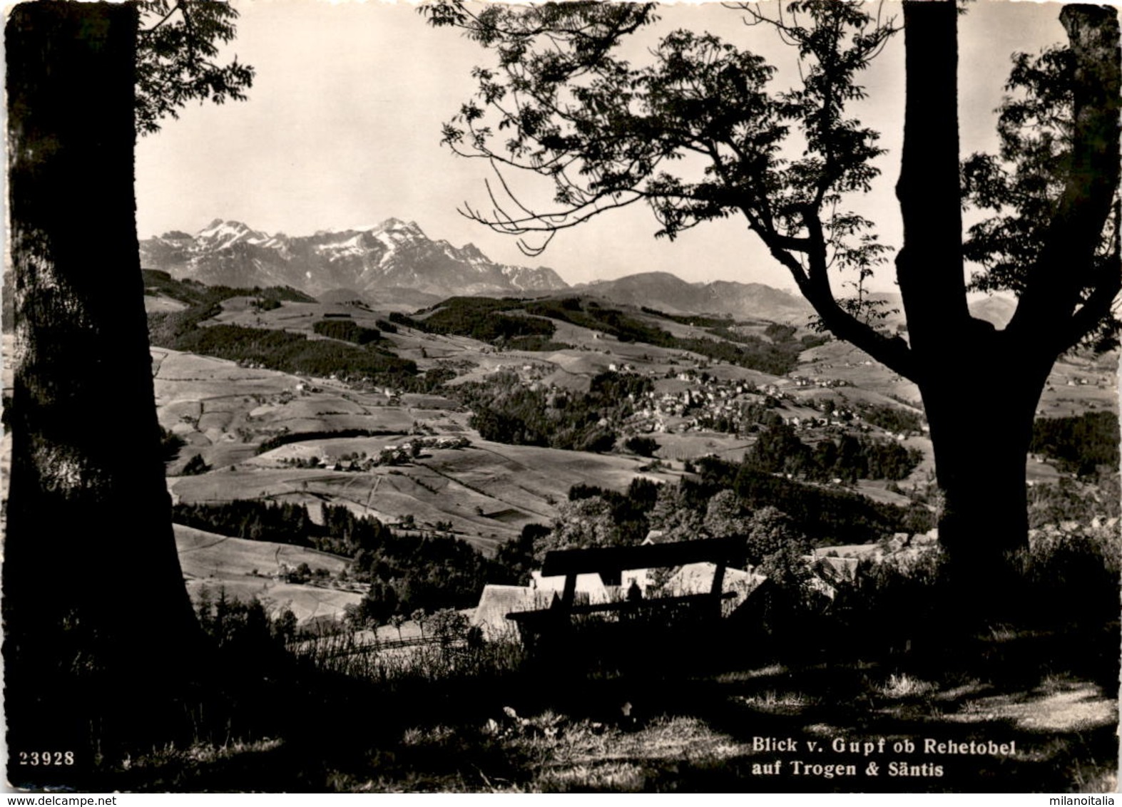 Blick V. Gupf Ob Rehetobel Auf Trogen & Säntis (23928) - Rehetobel